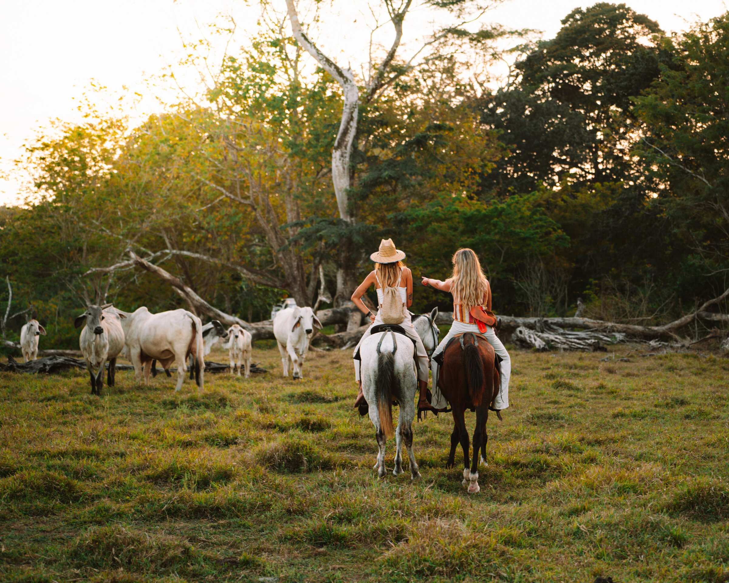 Experiences at Santa Teresa.